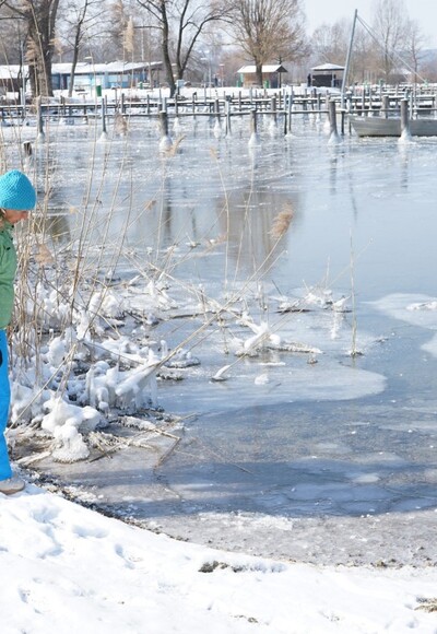 Chiemseeufer im Winter