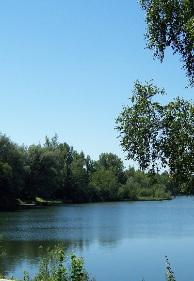 Kirchdorfer Waldsee
