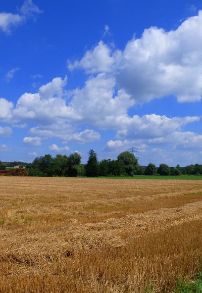 An der Rott bei Massing