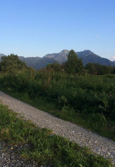 Zwischen Westerbuchberg und Torfbahnhof Rottau