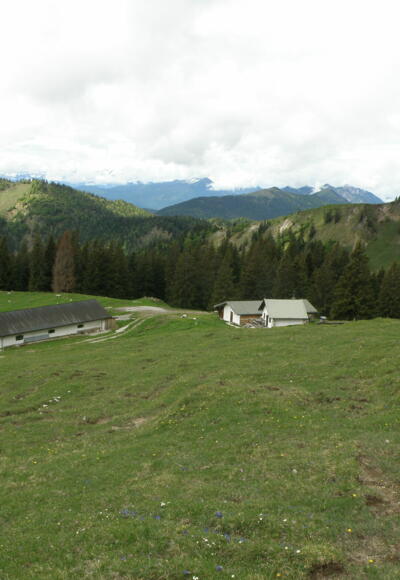 Vordere Scharnitzalm