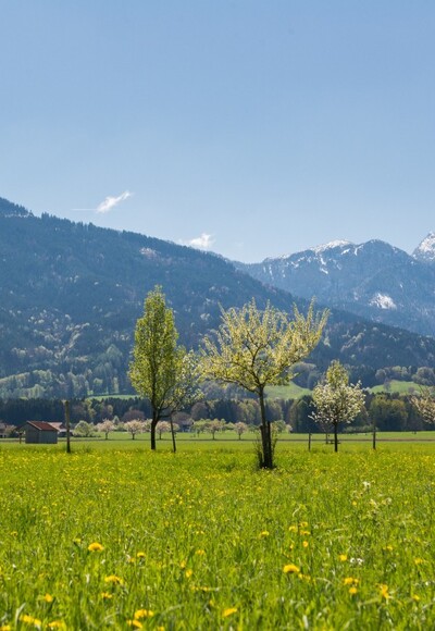 Blick auf Bad Feilnbach mit Wendelstein