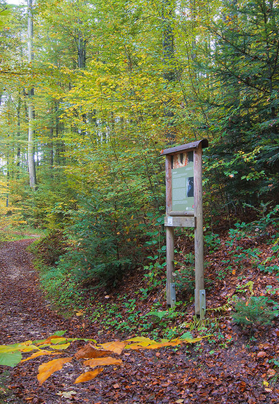 Waldlehrpfad &amp; Skulpturenweg Teisendorf © RoHa Fotothek