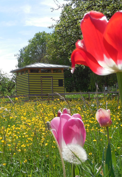 Obst- und Bienenlehrpfad Chieming