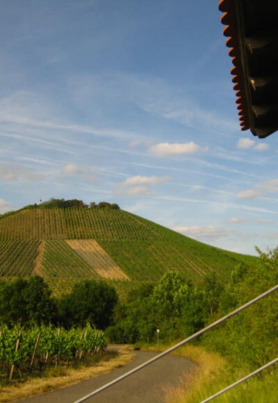 Wanderhütte am Matzenberg mit Blick au fden Tannenberg