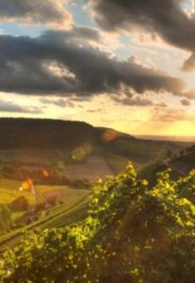 Blick auf den Schlossberg Castell