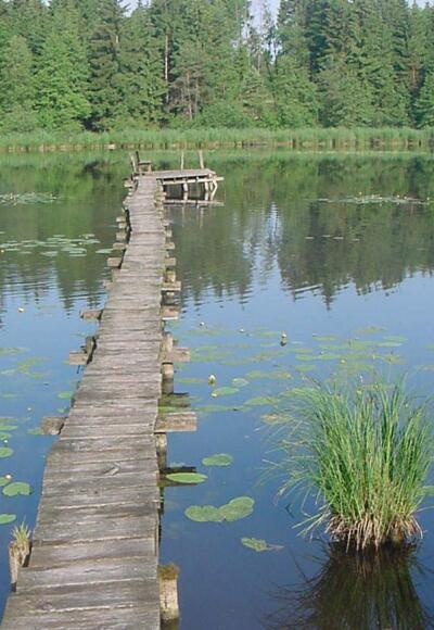 Wer sich über den Steg traut, sitzt an dessen Ende auf einer Bank mitten auf dem Neusee.