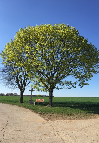 Feldkreuz am Schafhauser-Weg