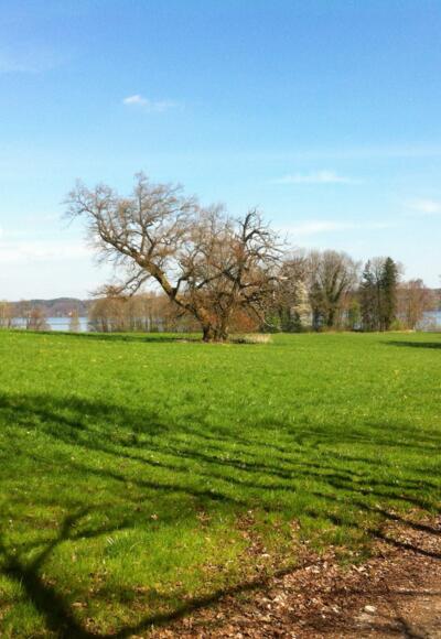 Bernrieder Parklandschaft