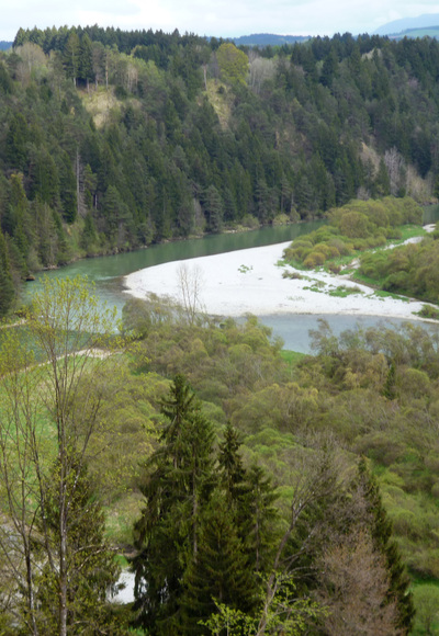 In der Litzauer Schleife ist der Lech noch wild und unverbaut.