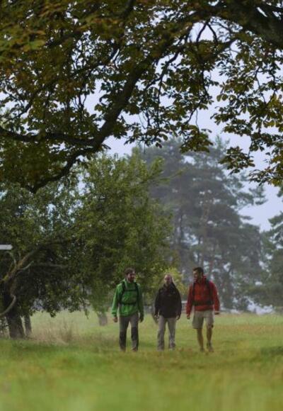 unter der alten Kastanie an der Kapelle Herrin der Berge Heimbuchenthal