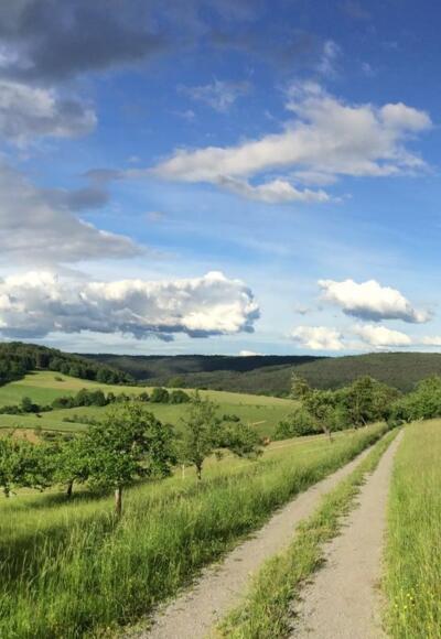 Wandern auf dem Nordic Walking Sparkassentrail Heimbuchenthal, vorbei an Apfelbäumen und grünen Wiesen rund um Heimbuchenthal