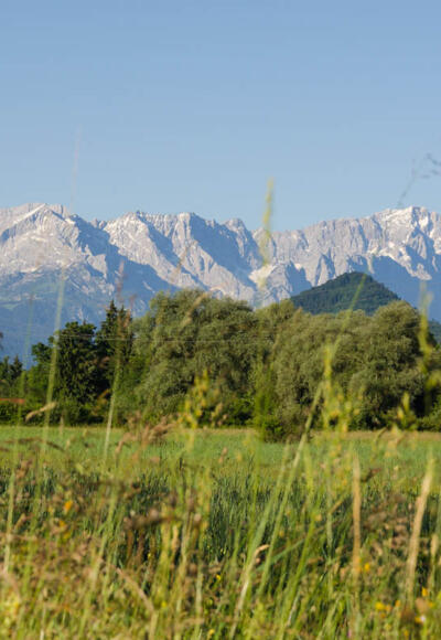 Wanderung - Nach Eschenlohe über Buchenried - Blick ins Wettersteingebirge