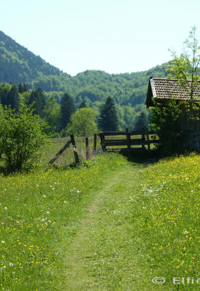 Fernwanderweg - Meditationsweg, 5. Etappe - Fußweg bei Ohlstadt