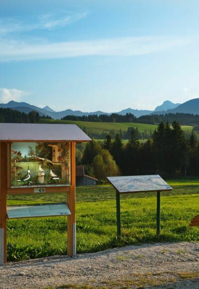 Schaukasten mit Panoramaliege am Vogellehrpfad Bad Bayersoien