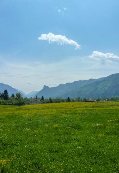 Frühling im Ammertal