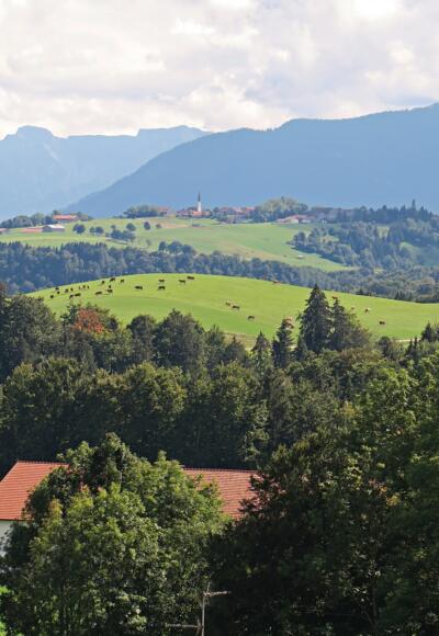 Blick Richtung Alpen, bei Rottenbuch