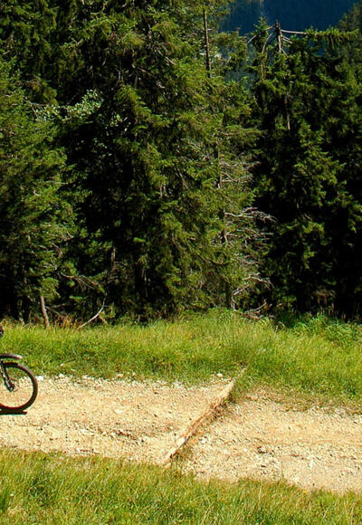 Mountainbiketour - Waldalm Runde