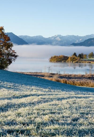 Wanderung - Höhlmühle-Rundweg - Blick auf den Riegsee