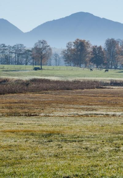Wanderung - Tafertshofen Rundweg - Blick in die Alpen