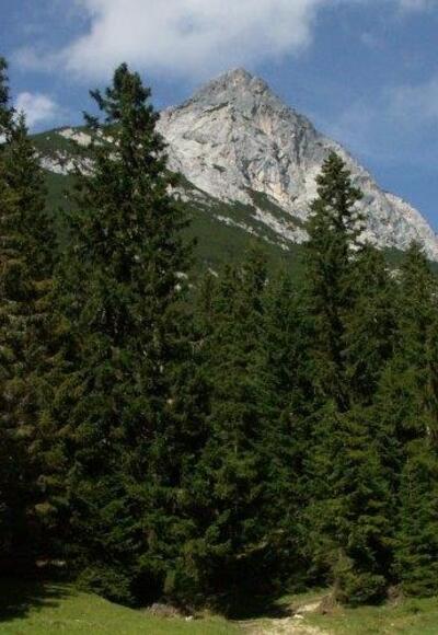 Ahrnspitze vom Hohe Sattel