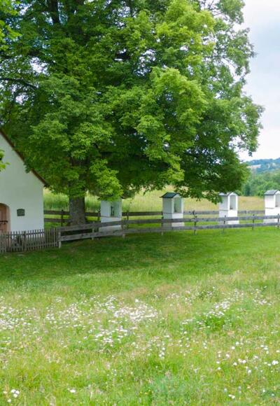 Wanderung - Boschet-Rundweg - Die Boschetkapelle