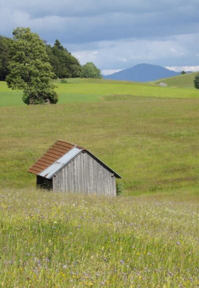 Nordic Walking Haselbach-Trail