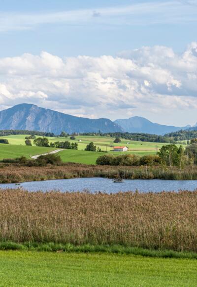 Der malerische Riegsee im Blauen Land