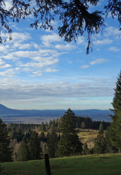 Aussicht Hohentann Richtung Murnauer Moos