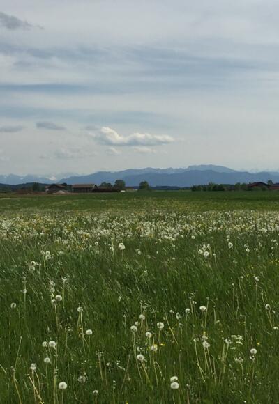 Super Panorama bei Aufhofen