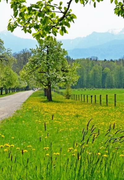 Unterwegs auf der Herreninsel