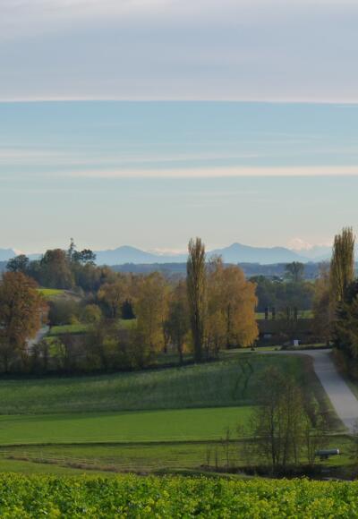 Ausblick bei Edeneibach