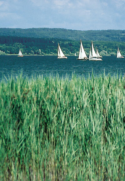 Blick über den Ammersee.