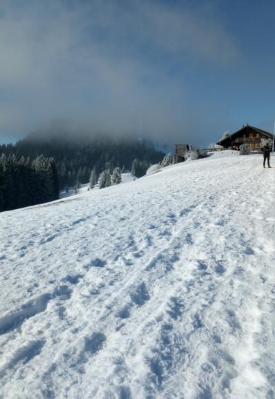 Im Aufstieg an der Aueralm
