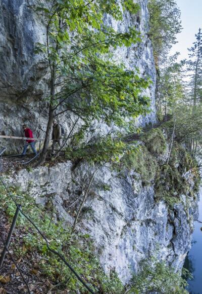 Felsenweg am Kochelsee