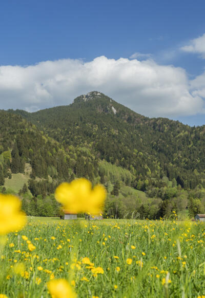 Blick auf Geierstein