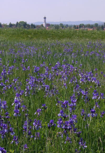 Jakobsweg Etappe 1aA: Herrsching - Wessobrunn (südlich des Ammersees)