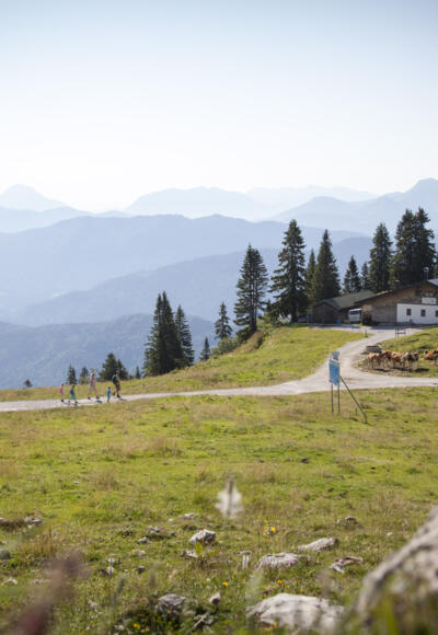 Höhenweg am Brauneck