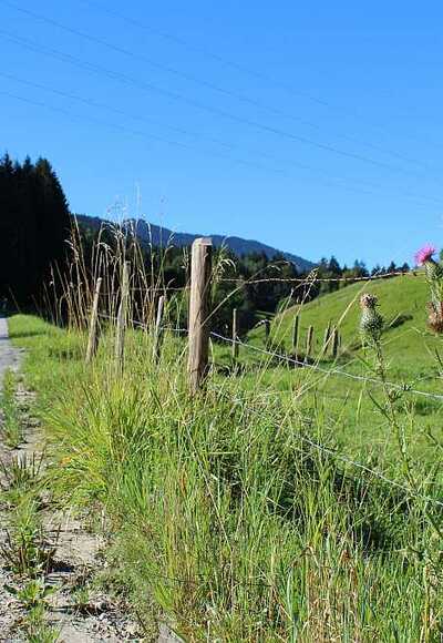 Höhenweg bei Mariabrunn