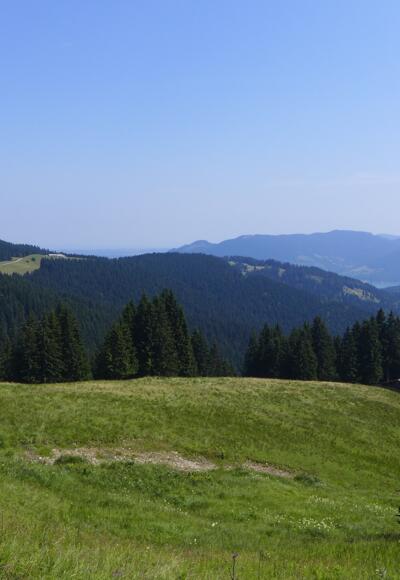 Weg zum Hirschbachsattel