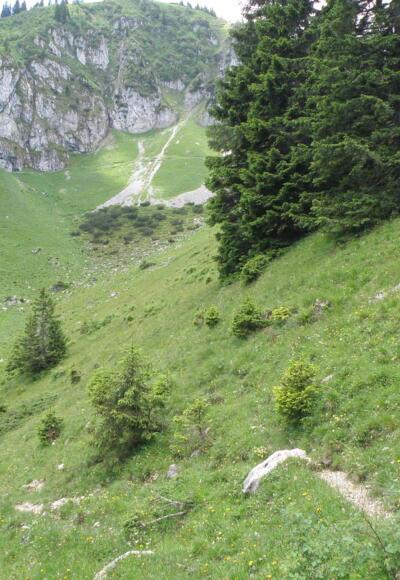 Unter dem Stangeneck