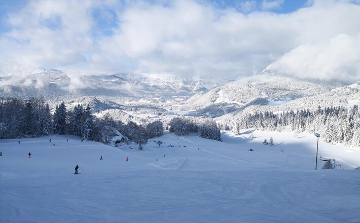 Ideal für Familien und Anfänger