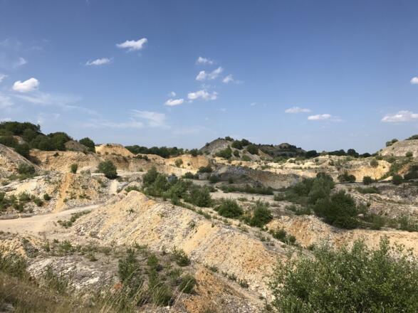 Samstag, 24. Juni 2017, 16:06 Uhr
