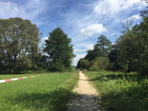 Entlang der Glonn Herschenhofen - Hohenkammer