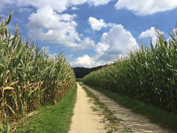 Amperradweg Allershausen - Kreuth