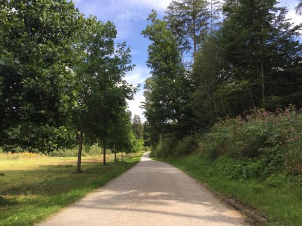 Weltwald im Kranzberger Forst