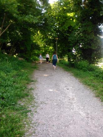 Walking path to Willibaldsburd