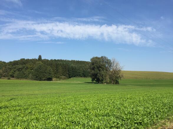 Deisenhofen Richtung Rottbach