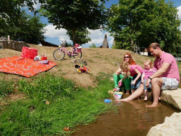 Rast an der Pegnitz bei Henfenfeld