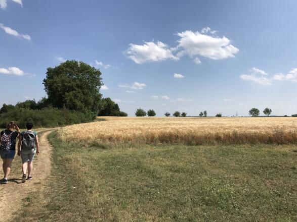 Samstag, 24. Juni 2017, 15:39 Uhr